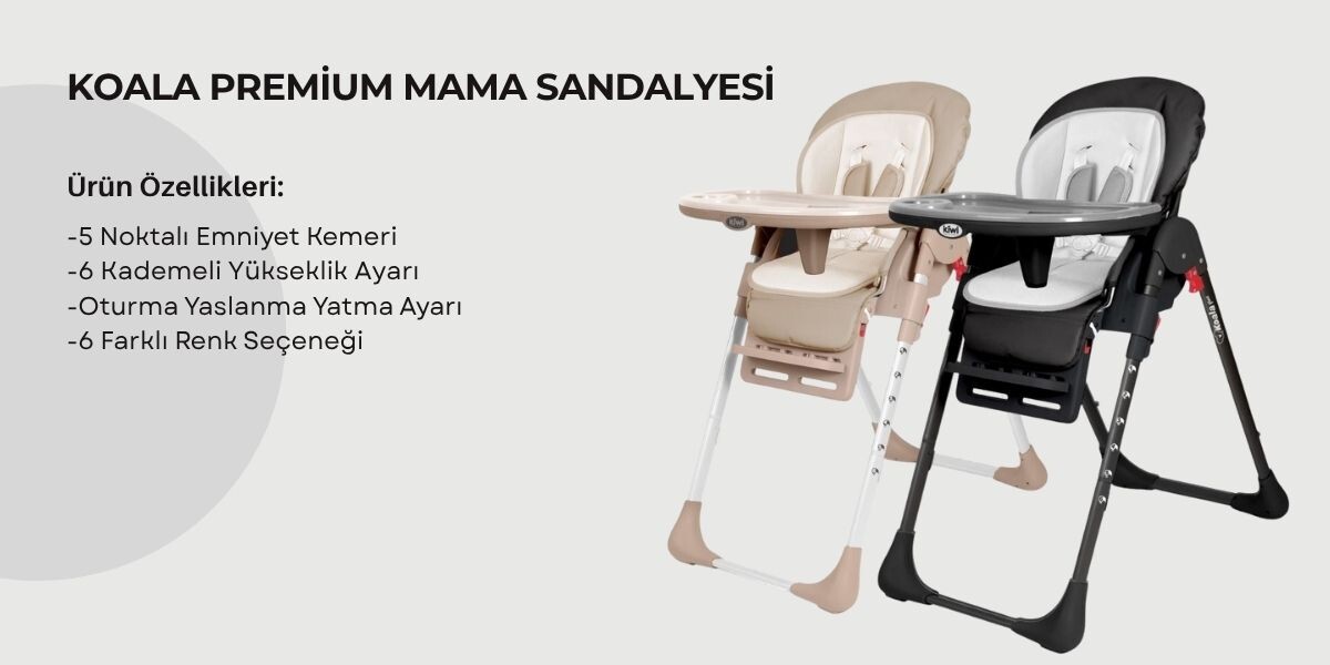 KOALA PREMİUM MAMA SANDALYESİ